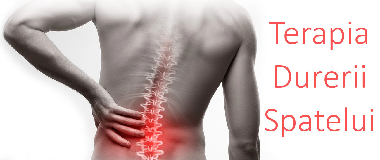 Anatomia coloanei vertebrale și osteoartrita | Jumbuck